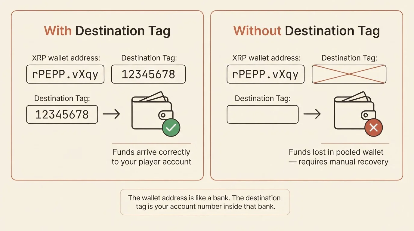 Diagrama que explica cómo el destination tag identifica tu cuenta dentro de la dirección XRP compartida del casino